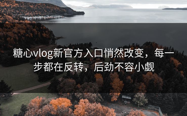 糖心vlog新官方入口悄然改变，每一步都在反转，后劲不容小觑