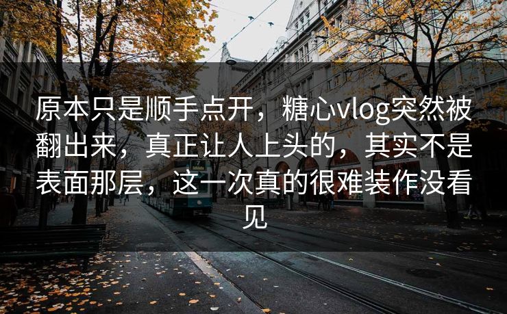 原本只是顺手点开，糖心vlog突然被翻出来，真正让人上头的，其实不是表面那层，这一次真的很难装作没看见