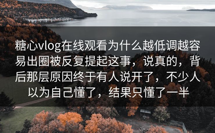 糖心vlog在线观看为什么越低调越容易出圈被反复提起这事，说真的，背后那层原因终于有人说开了，不少人以为自己懂了，结果只懂了一半