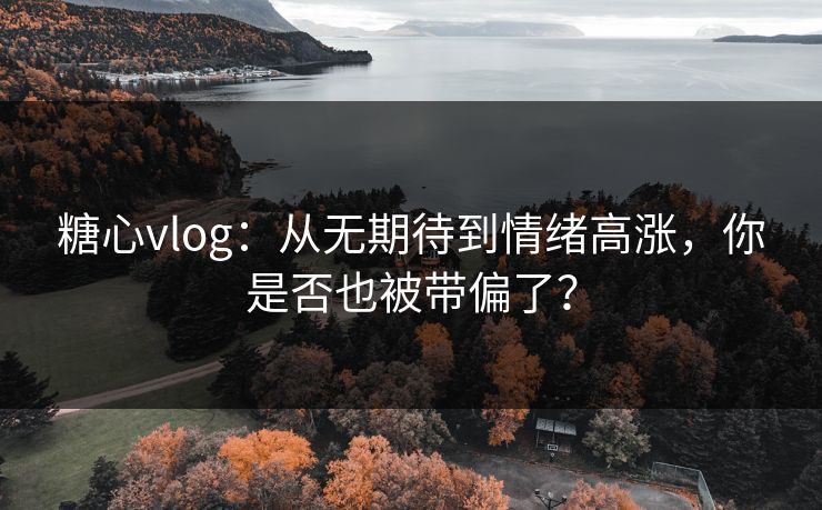 糖心vlog：从无期待到情绪高涨，你是否也被带偏了？