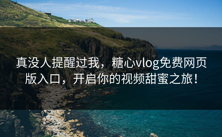 真没人提醒过我，糖心vlog免费网页版入口，开启你的视频甜蜜之旅！