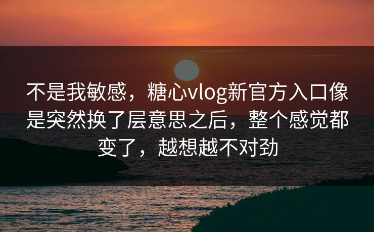 不是我敏感，糖心vlog新官方入口像是突然换了层意思之后，整个感觉都变了，越想越不对劲