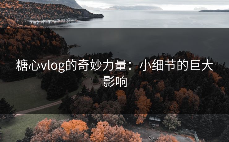 糖心vlog的奇妙力量：小细节的巨大影响