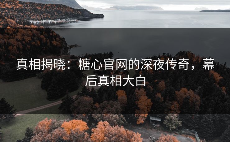 真相揭晓：糖心官网的深夜传奇，幕后真相大白