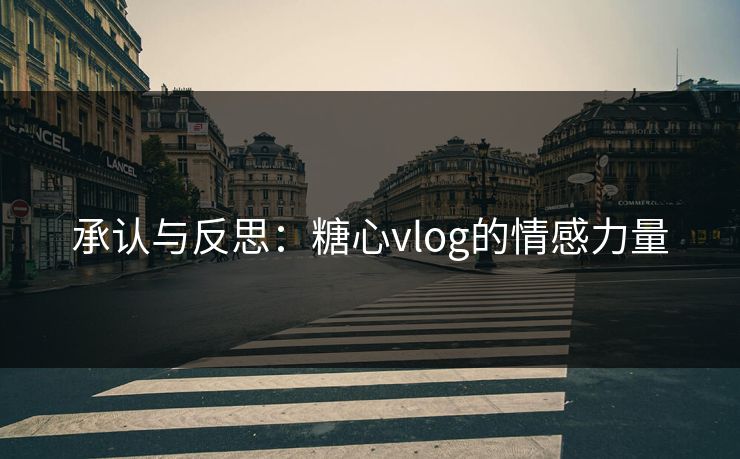 承认与反思：糖心vlog的情感力量