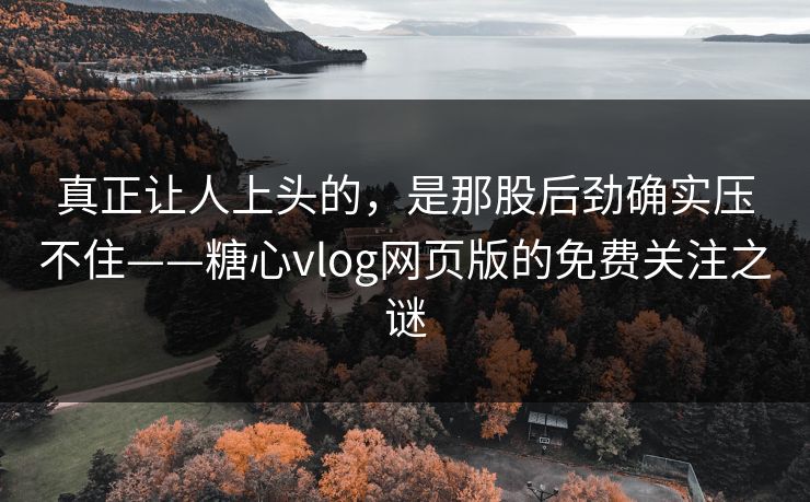 真正让人上头的，是那股后劲确实压不住——糖心vlog网页版的免费关注之谜
