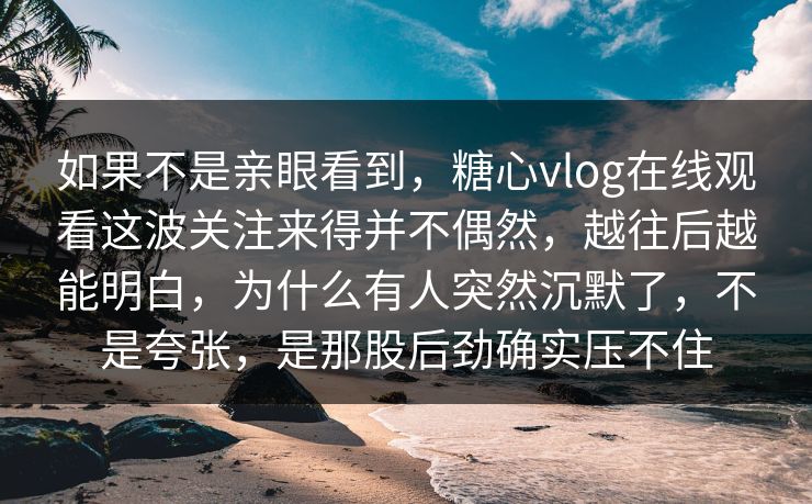 如果不是亲眼看到，糖心vlog在线观看这波关注来得并不偶然，越往后越能明白，为什么有人突然沉默了，不是夸张，是那股后劲确实压不住